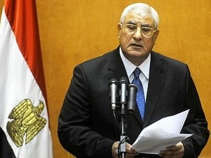 Egypte - Le président par intérim appelle à la réconciliation  - ảnh 1